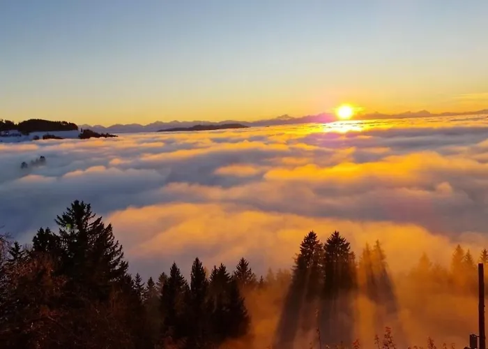 Guest house Gutmann 3*