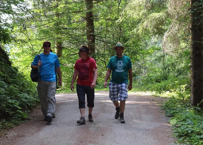 Guest house Gutmann 3*